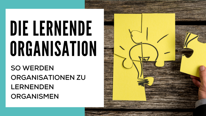 blog/die-lernende-organisation-so-werden-organisationen-zu-lernenden-organismen